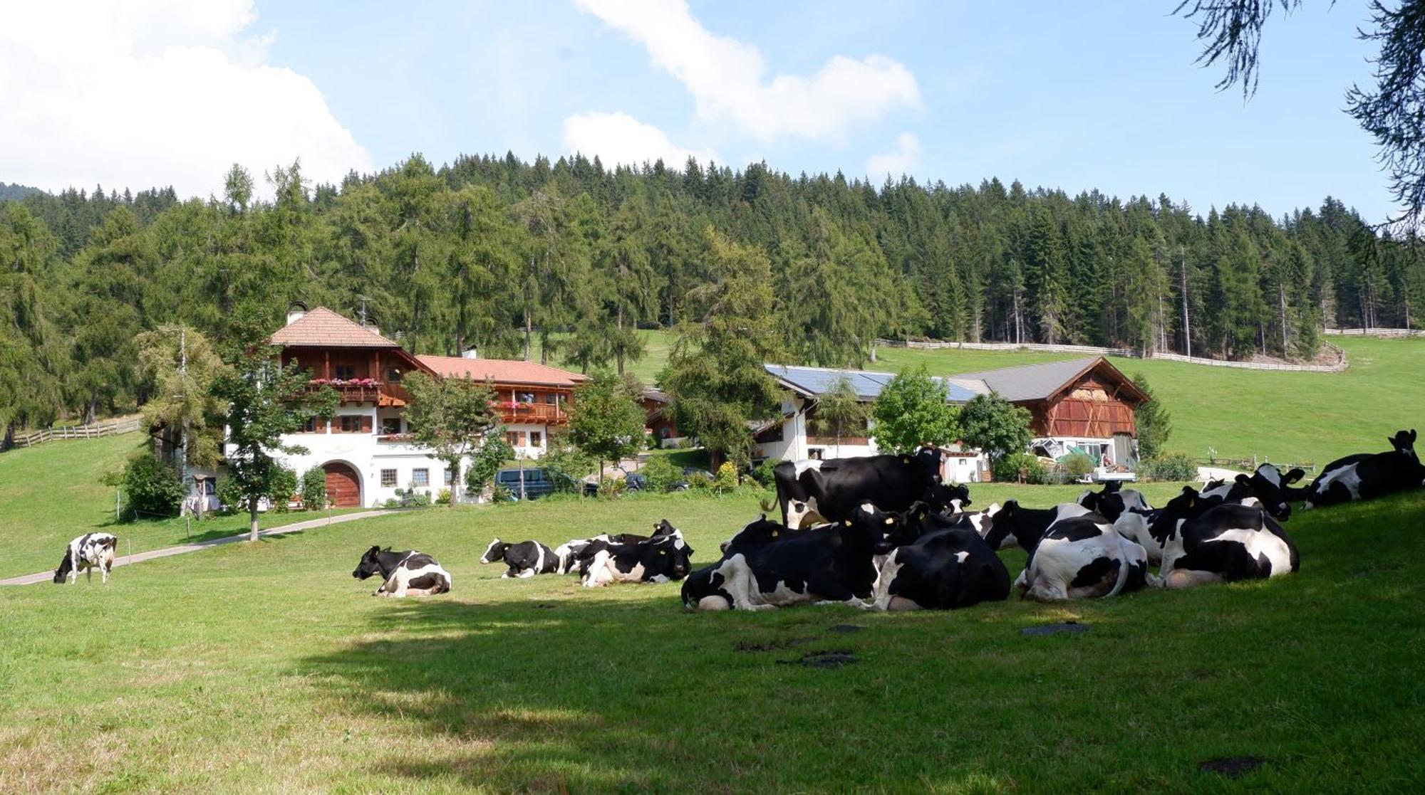 Villa Laerchhof Collalbo Exterior foto